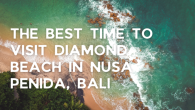 The Best Time to Visit Diamond Beach in Nusa Penida, Bali