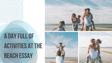 A Day Full of Activities at the Beach Essay