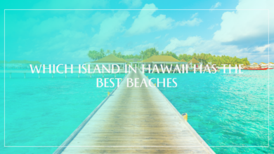 Which Island in Hawaii Has the Best Beaches