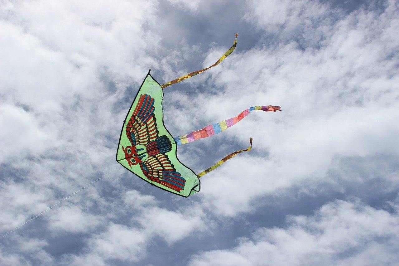 Types of Kites Suitable for Beach Flying