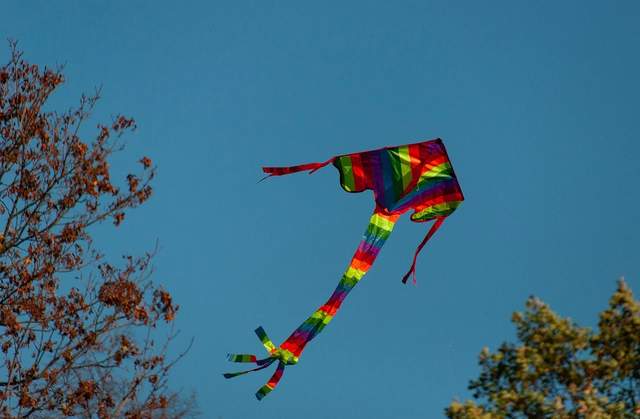 Cedar Beach Specific Challenges for Kite Flying