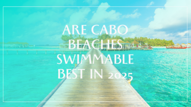 Are Cabo Beaches Swimmable Best in 2025