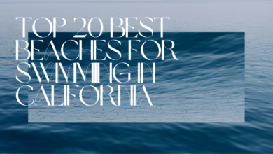 Top 20 Best Beaches For Swimming In California